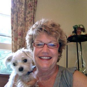 Meet your Posher, Lynn